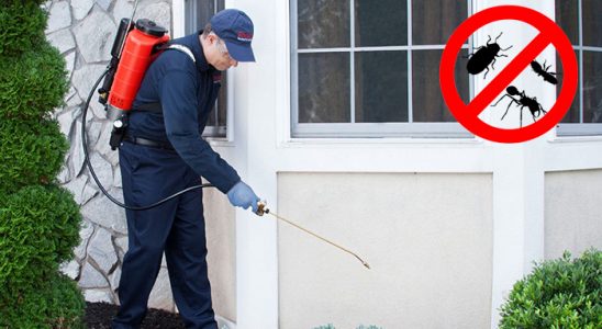 Tercan Kemirgen İlaçlama böcek ilaçlama ve haşere kontrolü — ilaclama-tr.com